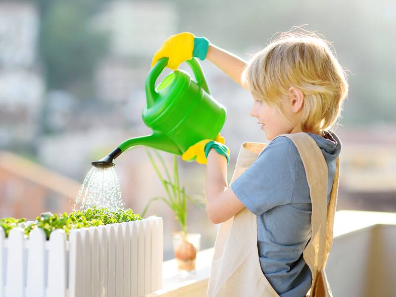 Ein Kind mit blonden Haaren und Schürze gießt Pflanzen in einem weißen Blumenkasten mit einer grünen Gießkanne.