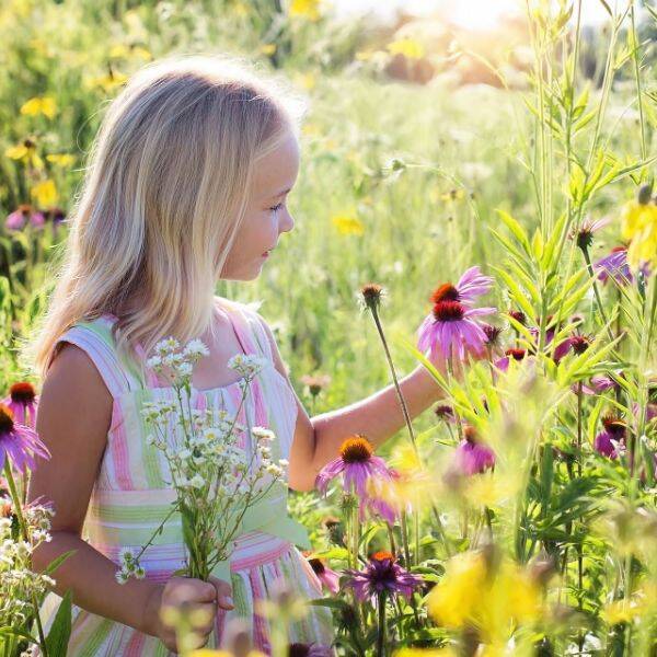 Blondes Mädchen steht in einer Blumenwiese und pflückt eine lila Blume.