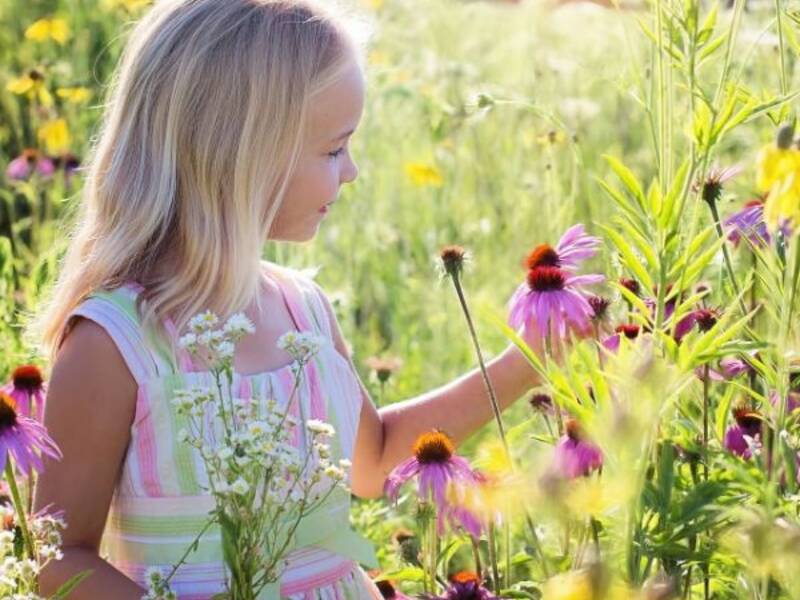 Blondes Mädchen steht in einer Blumenwiese und pflückt eine lila Blume.