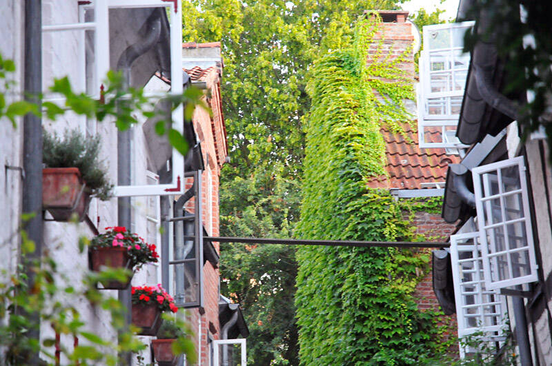 Häuserreihe mit vielen Blumen an den Fenstern und der Fassade des Hauses.