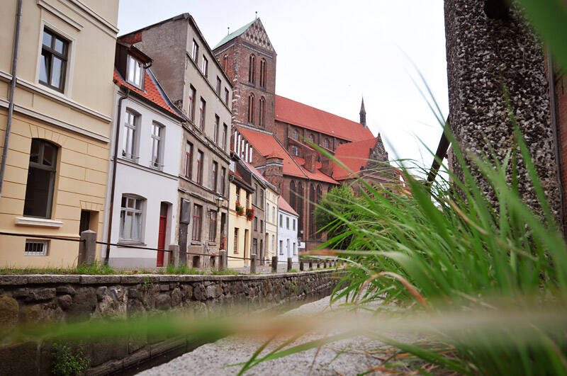 Häuserfront mit einem Grasbüschel im Vordergrund. 