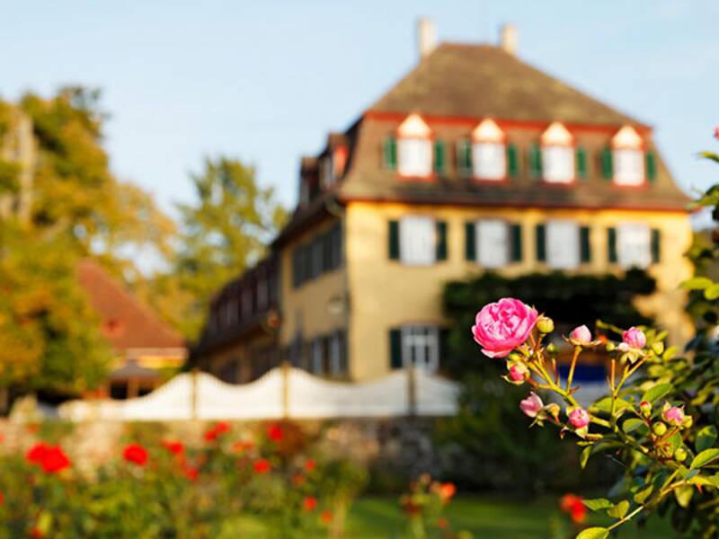 Ortsverwaltung Hitweiler von Außen mit Blume im Vordergrund